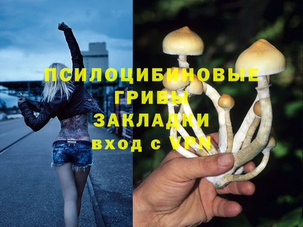 ECSTASY Алексеевка